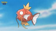Encounter Magikarp after catching 7 Pokémon (Image via Niantic)